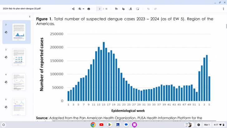 Dengue fever 2024