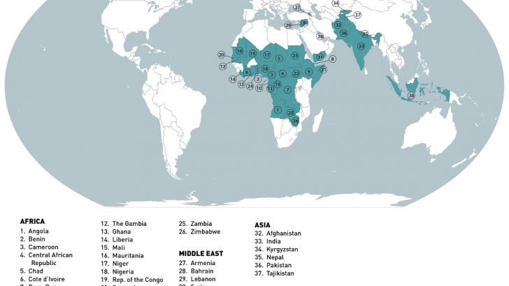 Measles outbreak map 2023