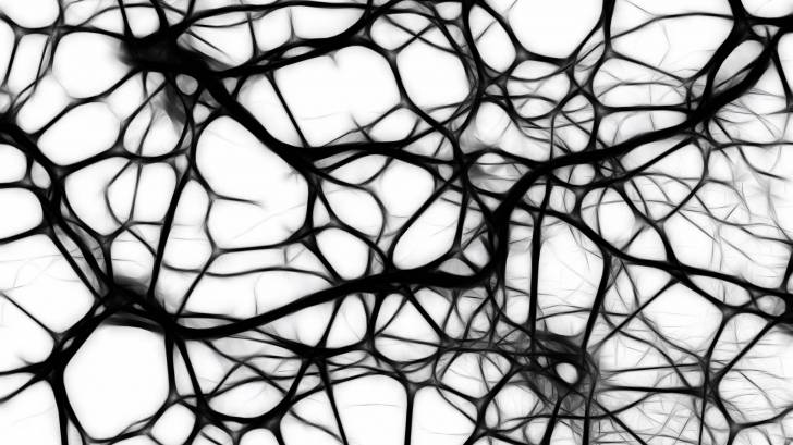 brain neurons abtract