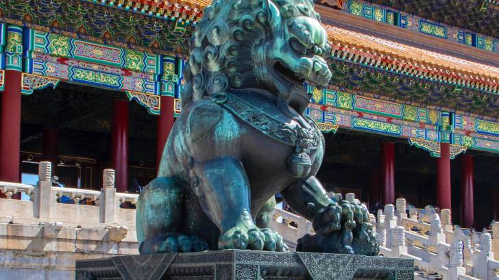 chinese lion statue in front of temple