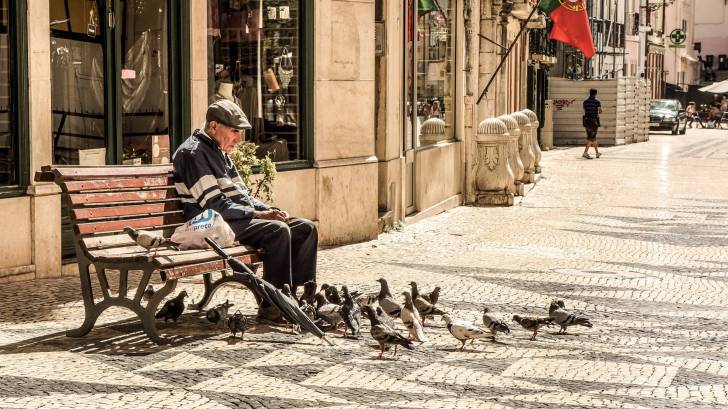 old man sitting on bench feeding birds