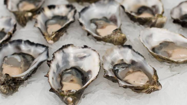 raw oysters
