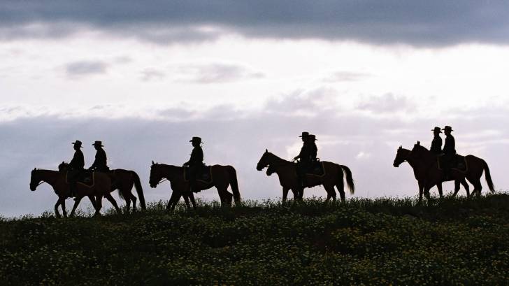 texas cowboys on horse bck riding at dusk