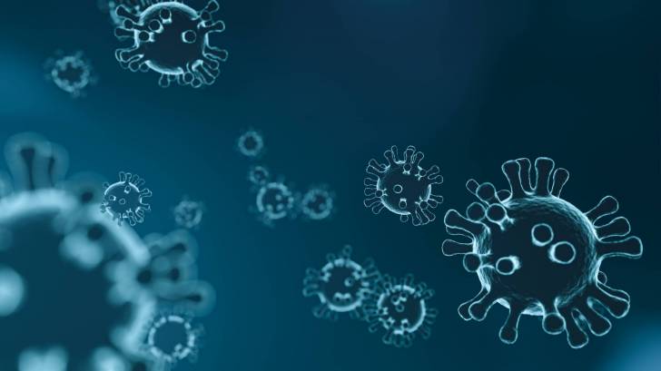 depction of the coronavirus and other viruses