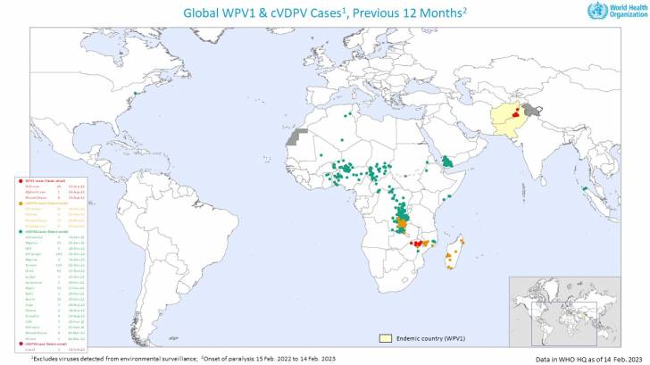 Polio virus outbreaks 2023