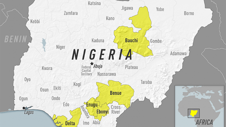 yellow fever africa