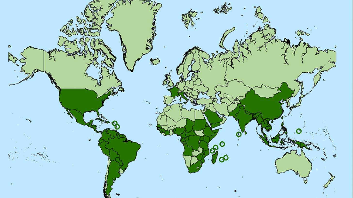 map of Chikungunya