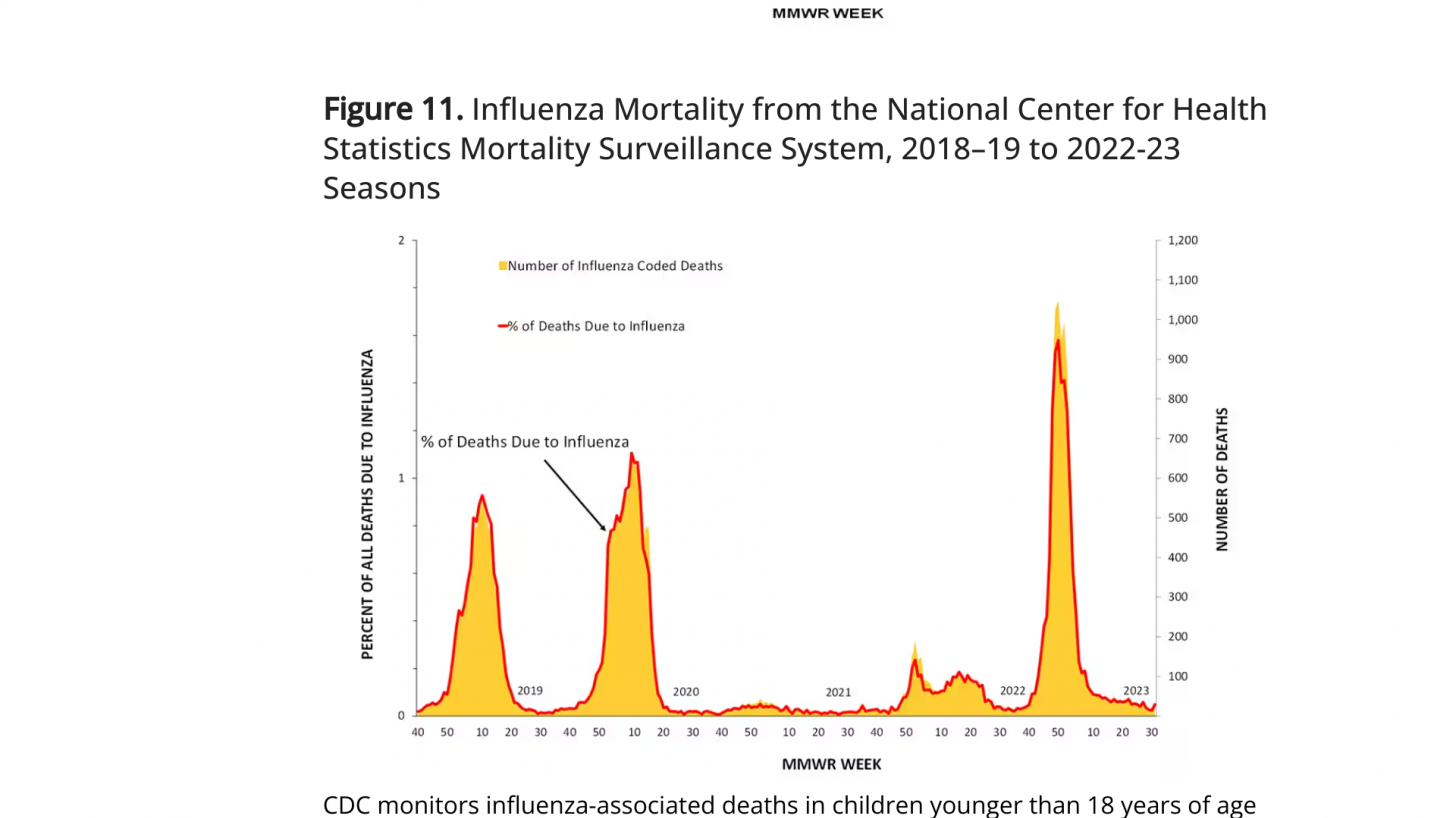 Flu deaths 2023
