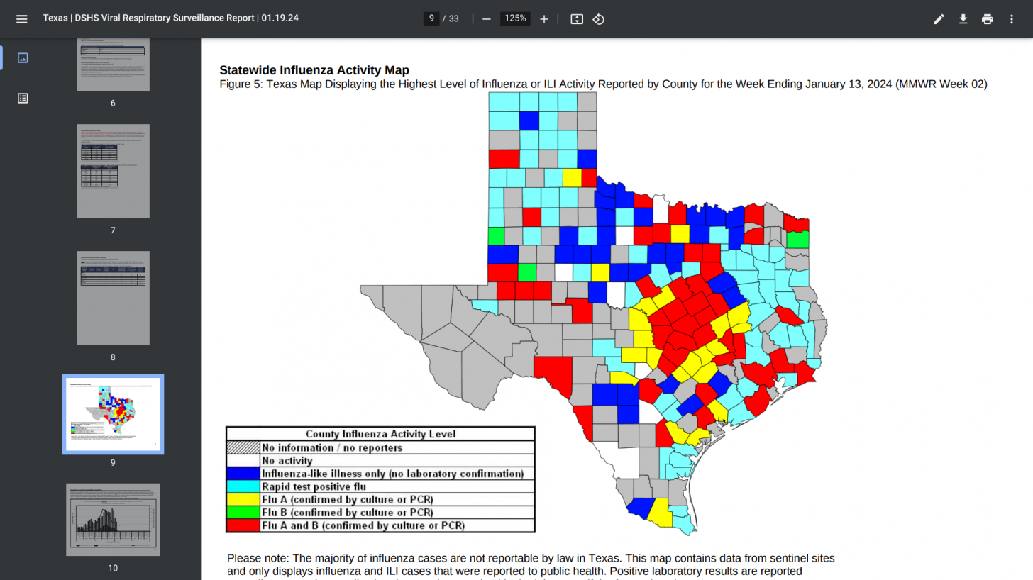 Texas flu virus map 2024