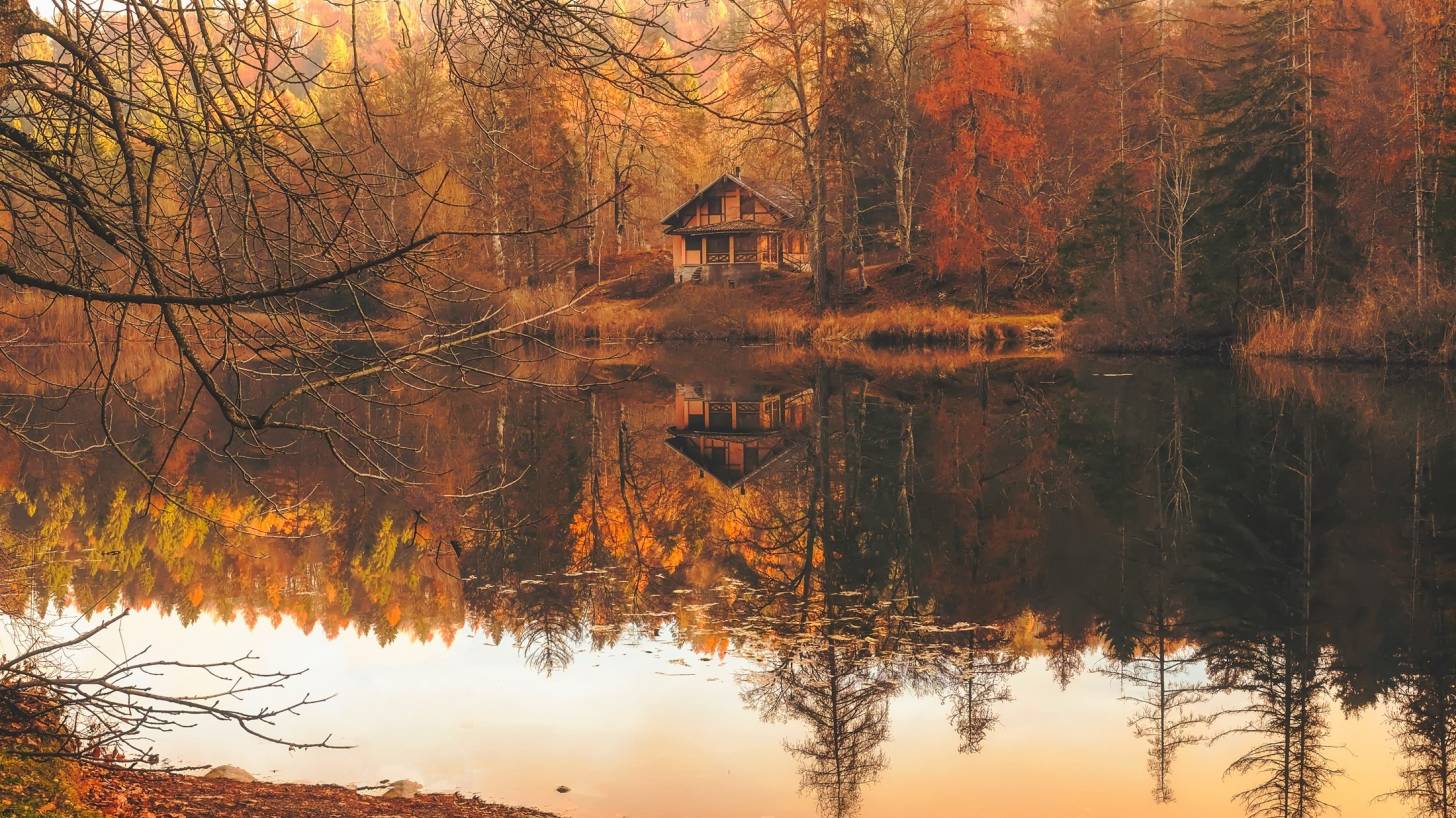 fall woods scene with a lake and cottage