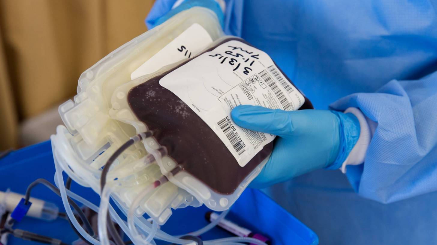 blood donations of whole blood and plasma