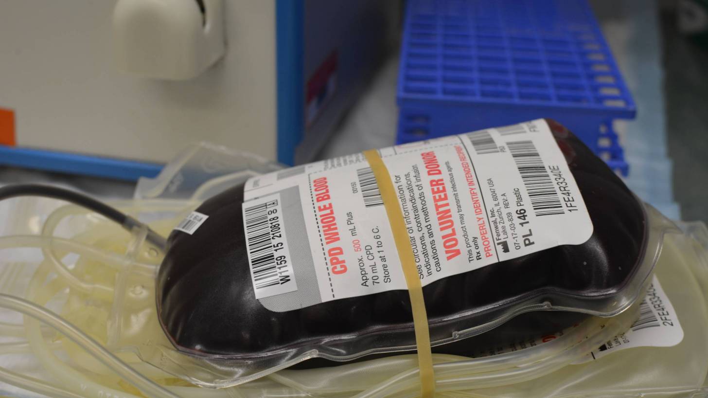 blood donated for transfusion