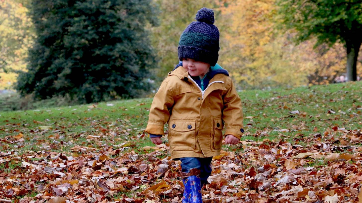 little boy walking in the fallen leaves