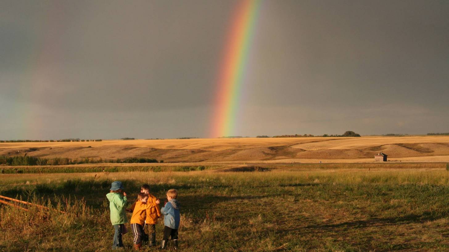 children in a field with a rainbow