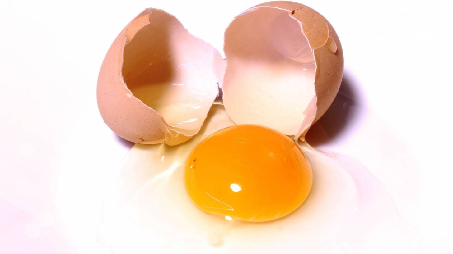 egg cracked open