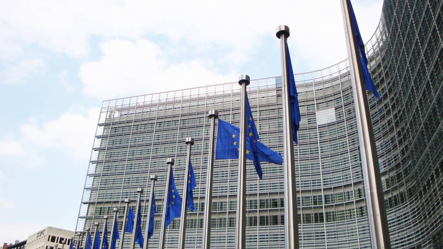 EU building and the flags for the EU