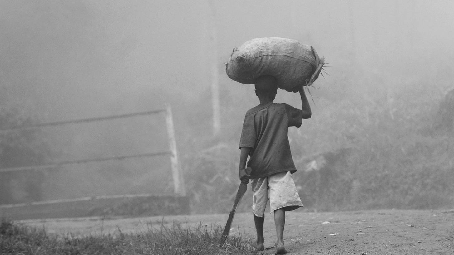 ugandan farmer in the mist