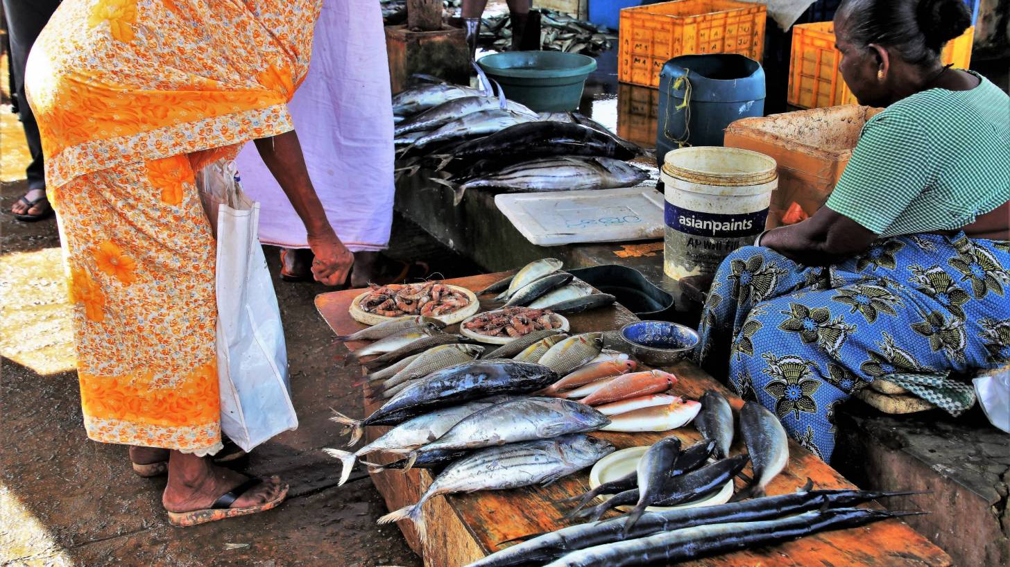fish market in sri lanka