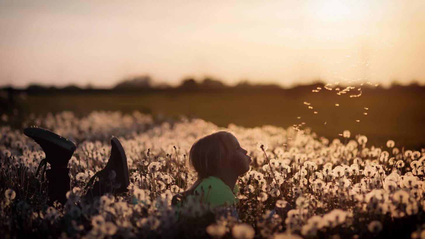 little girl playing in a field of flowers