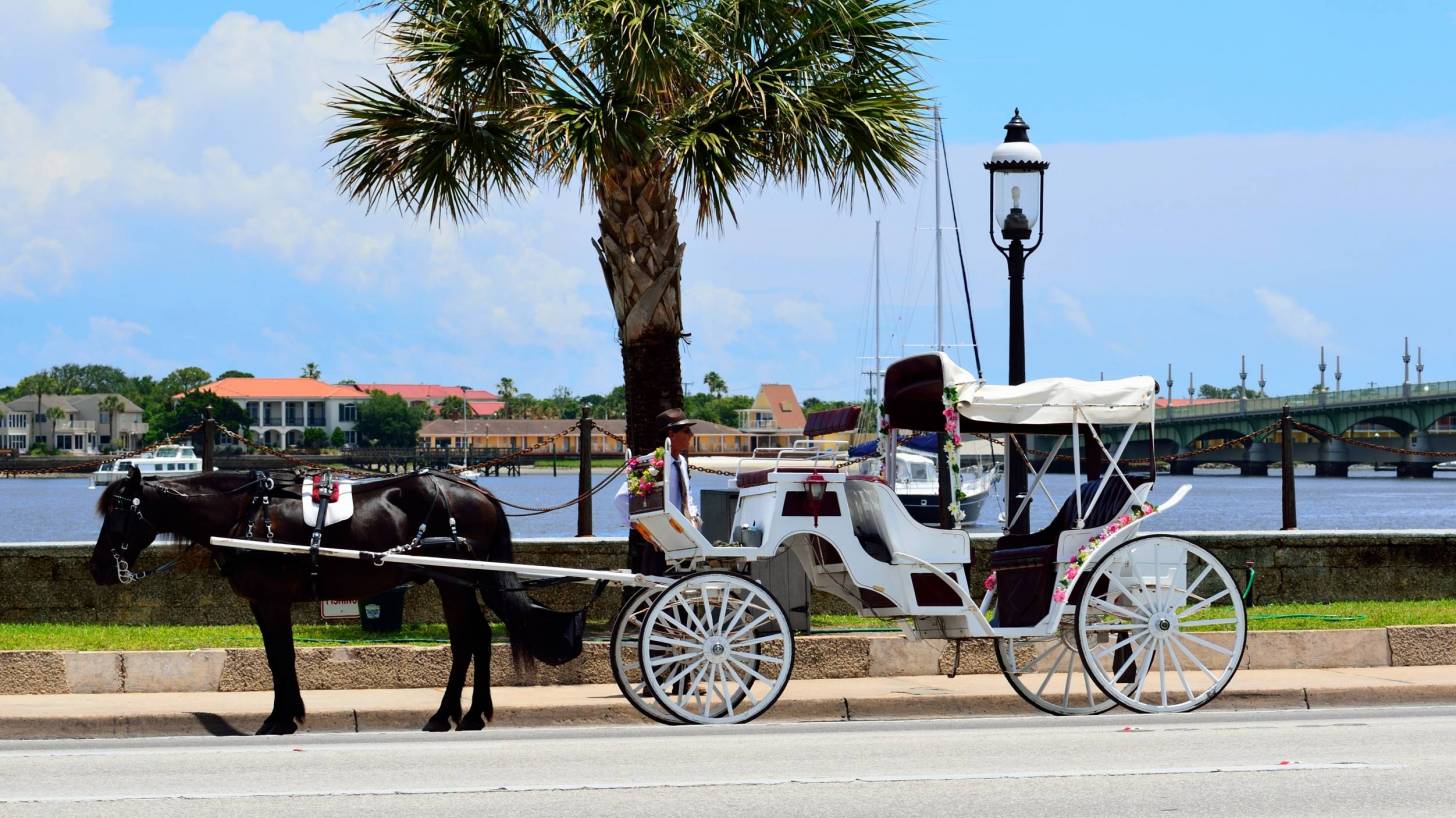horse and carriage in st augustine florida