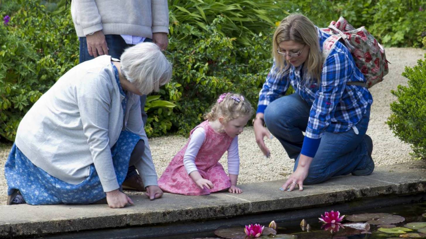 grand parents and grand child looking at a lily pond 