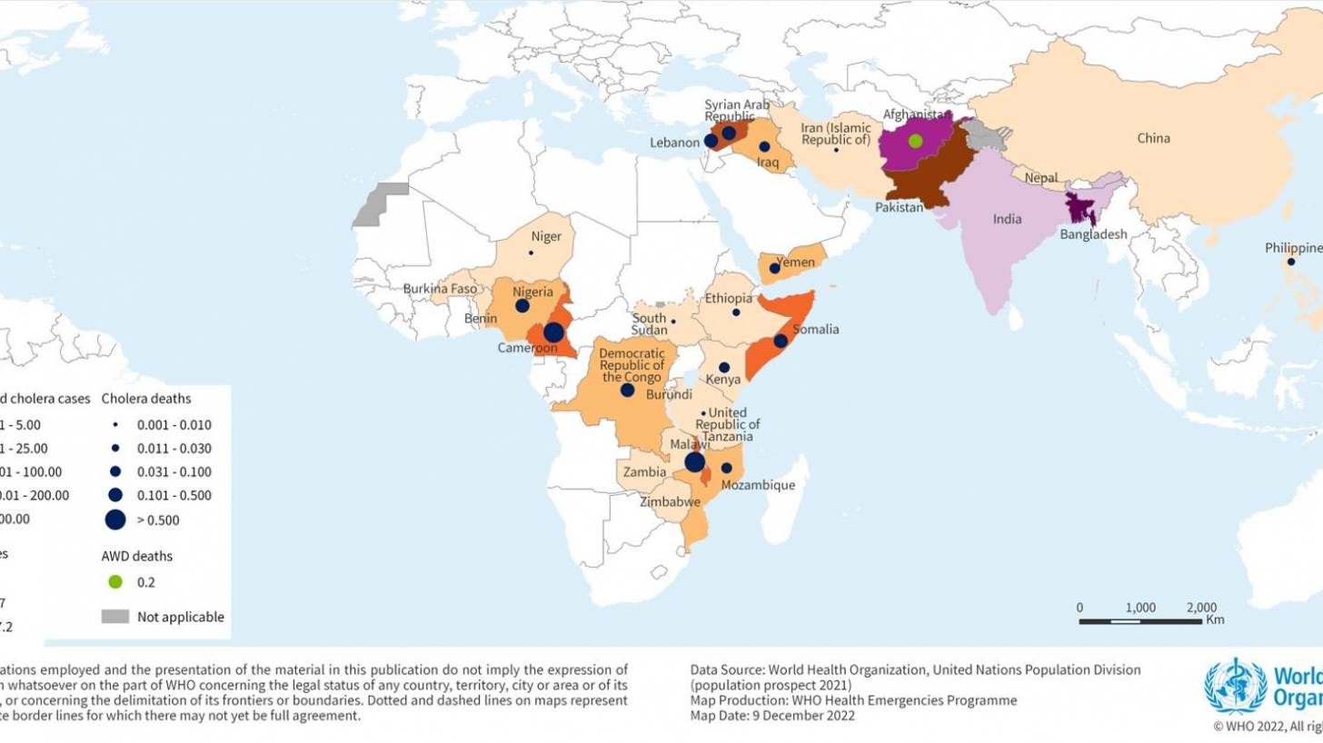 Cholera outbreaks in Africa 2023