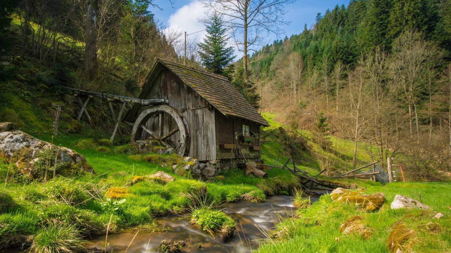mill in the woods