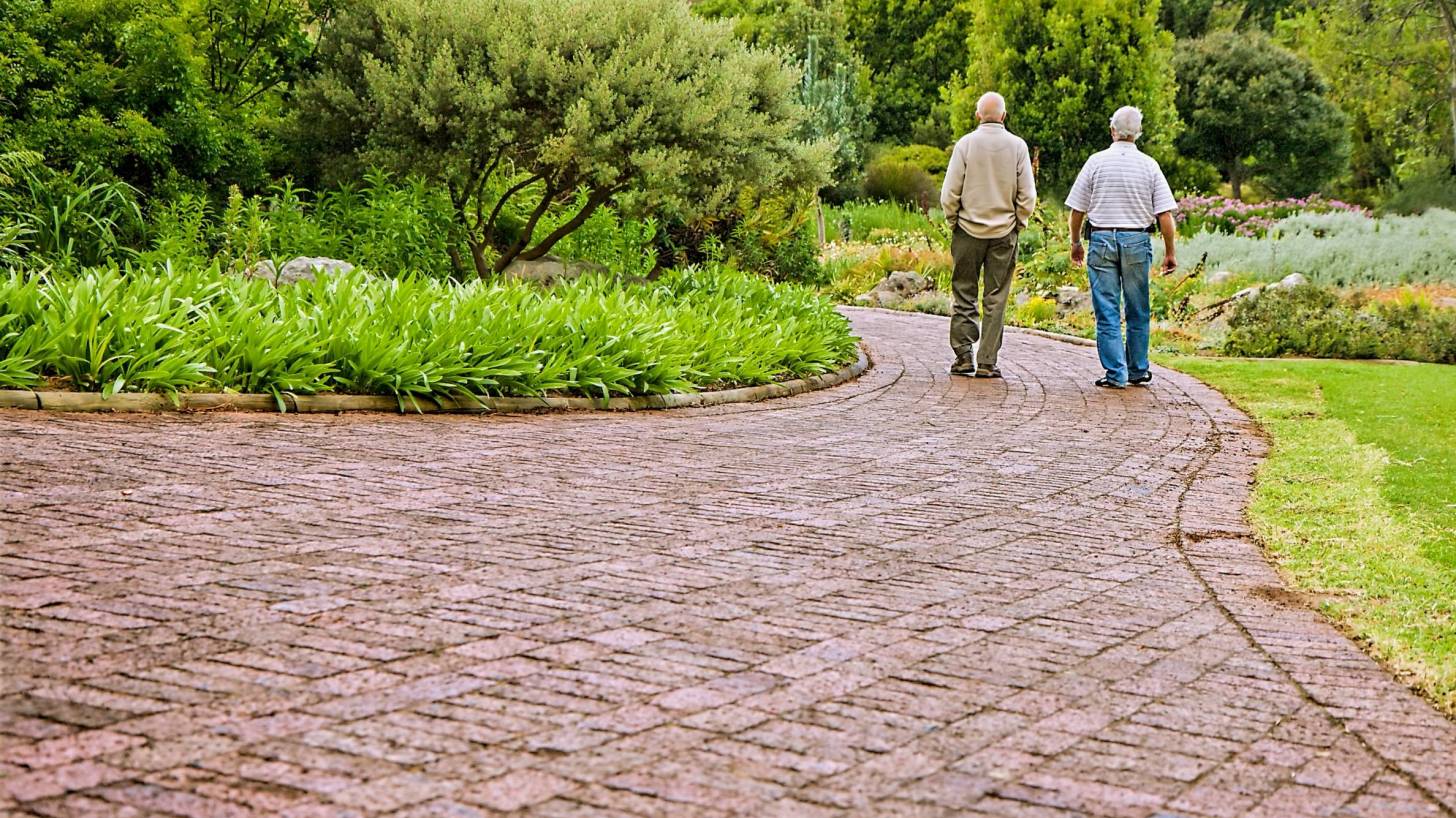 old friends walking on a path talking