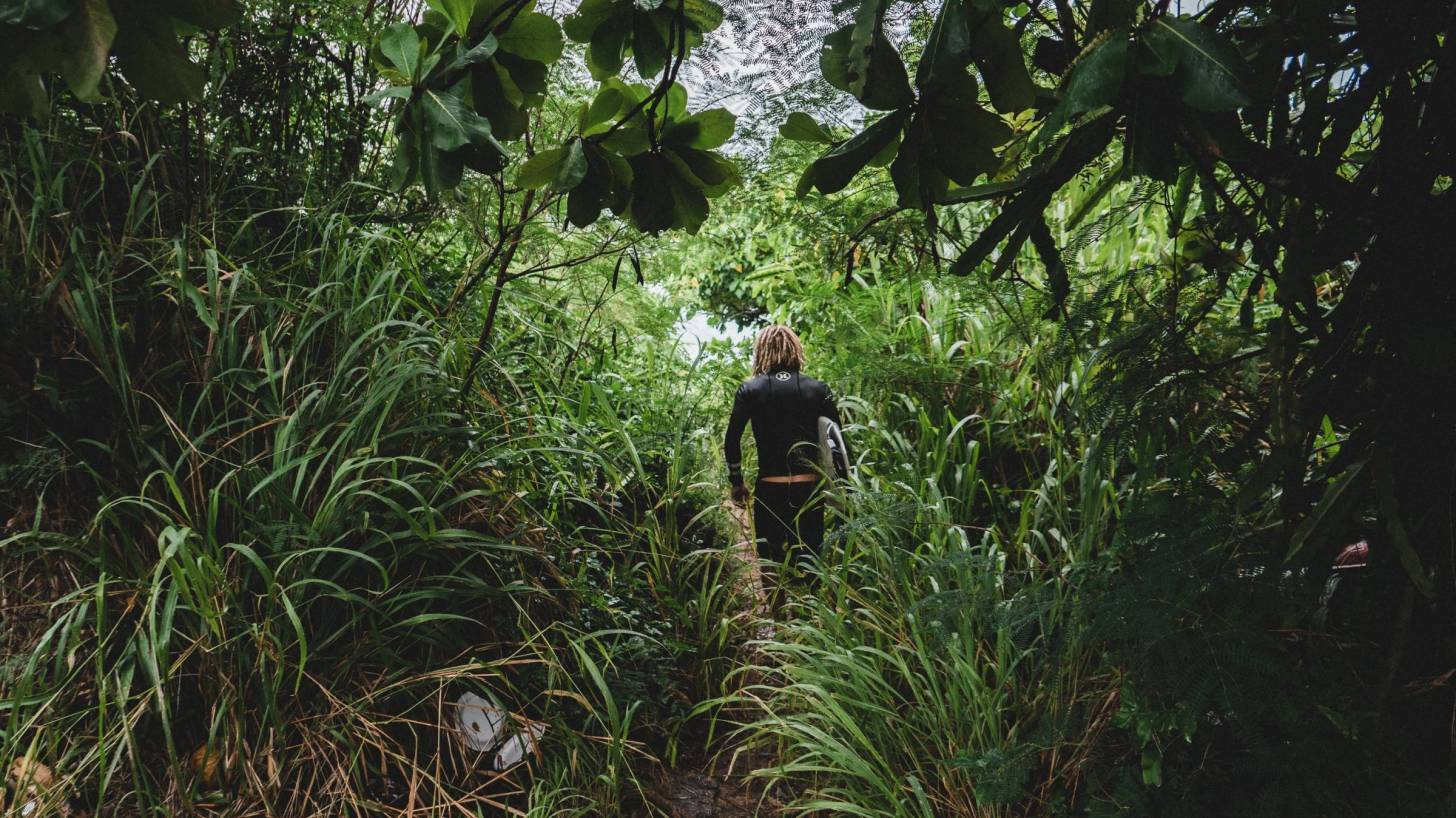 man walking thru a jungle