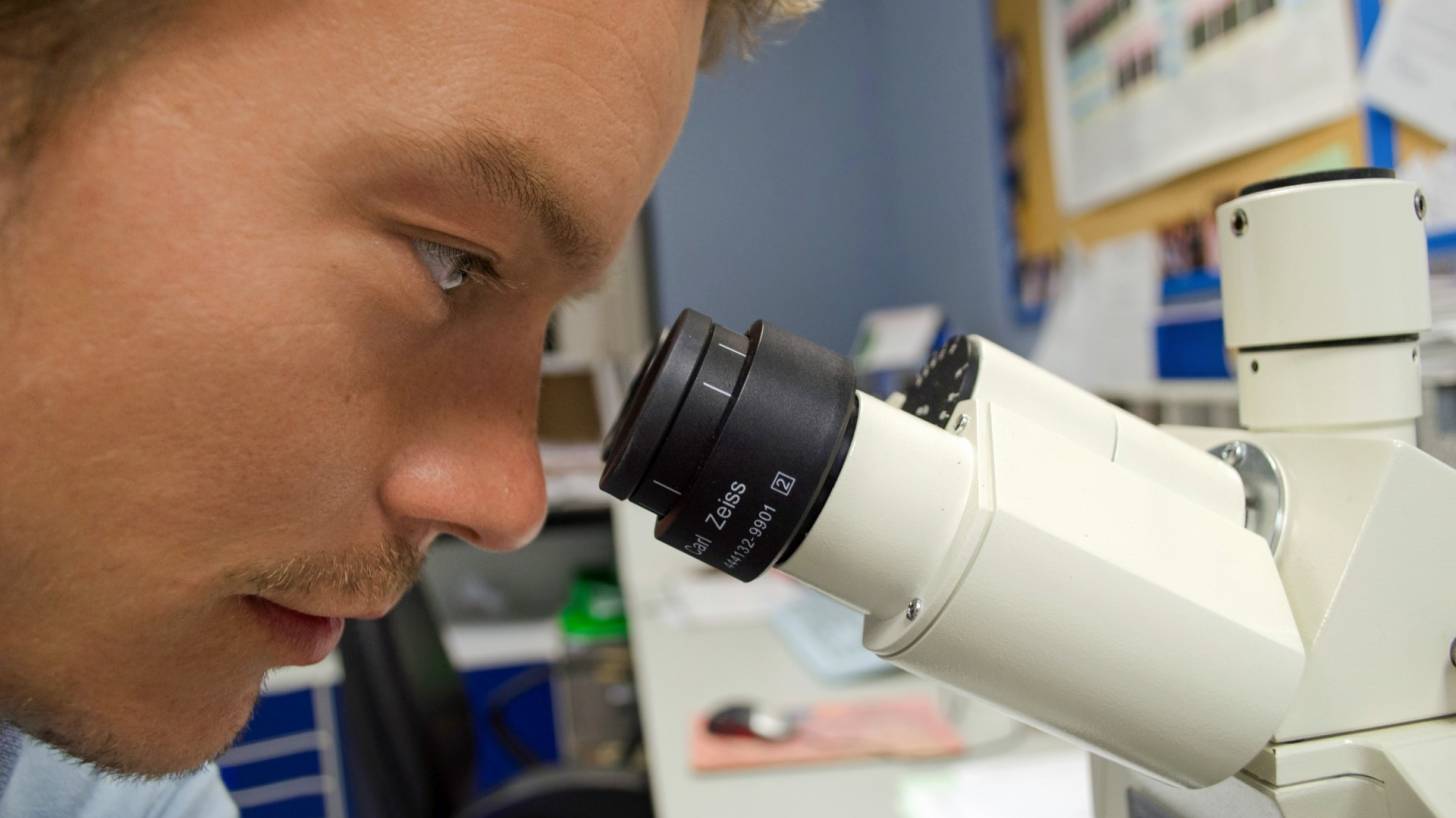 scientist looking thru a microscope