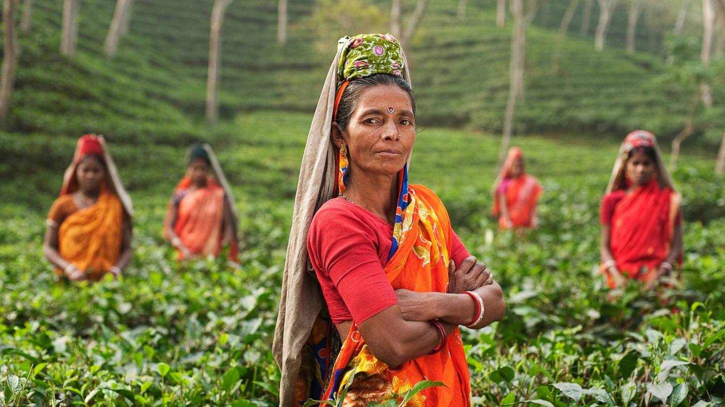 indian women in fields