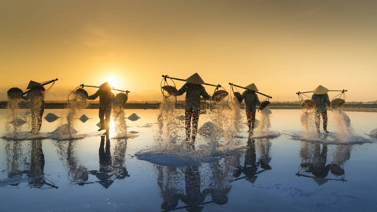 Vietnam salt harvestors in water