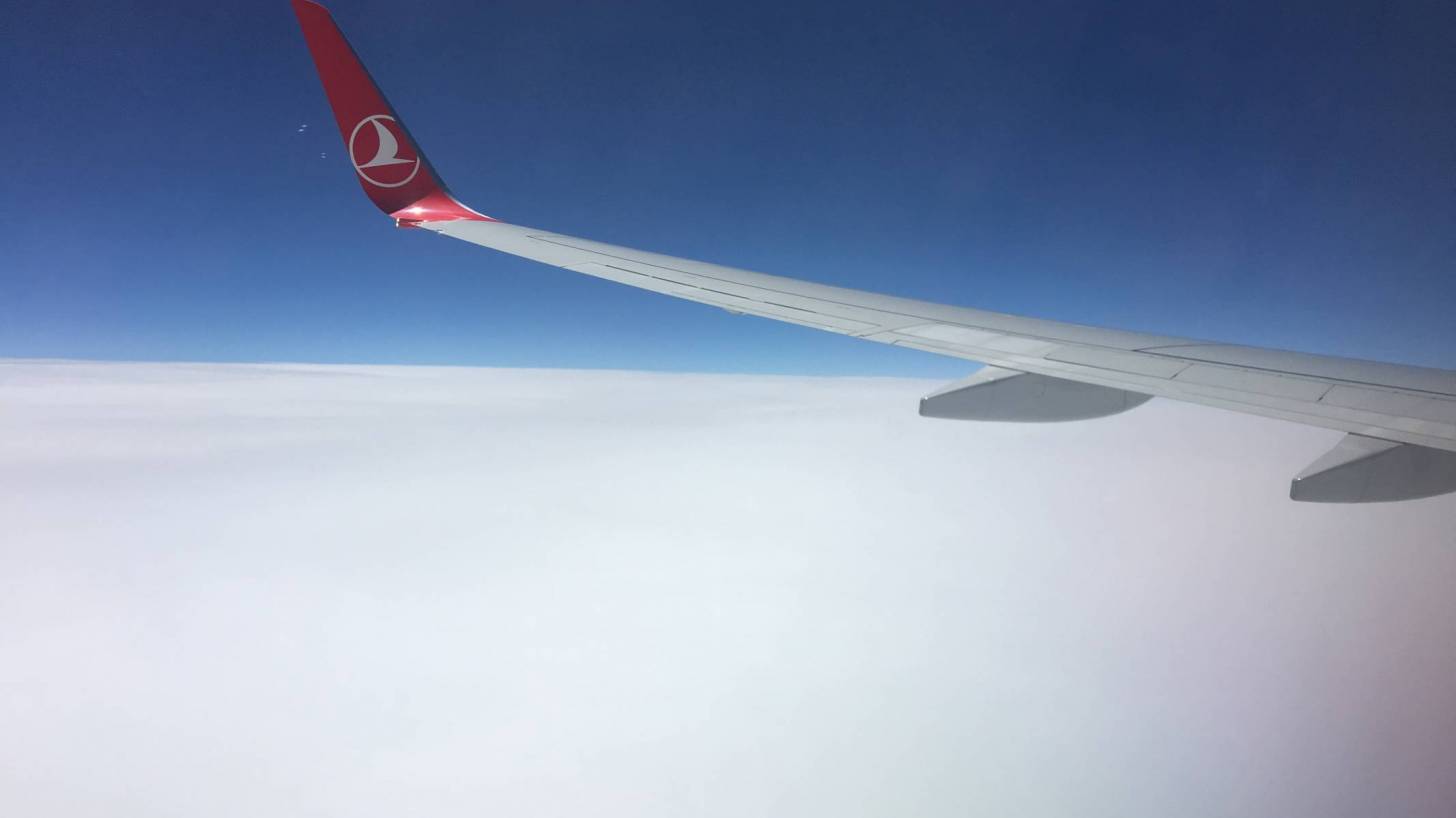Turkish airline wing with logo on it