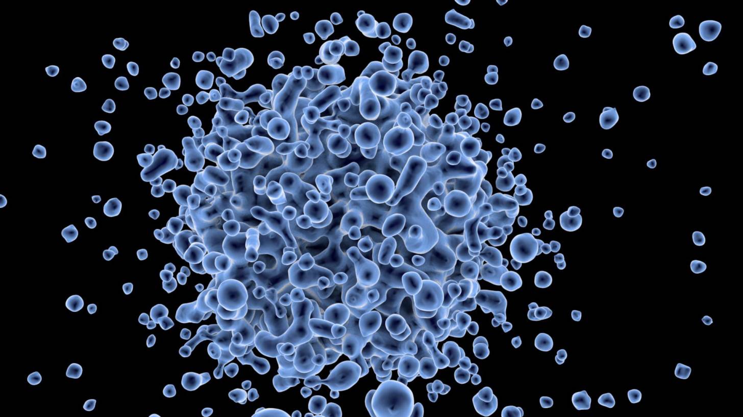 cluster of cells blue vs black