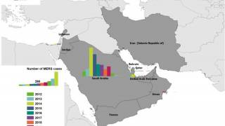 MERS cases related to camels