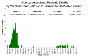 Pediatric influenza fatalities