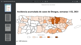 Dengue cases San Juan