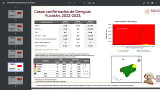 Cancun dengue cases 2023
