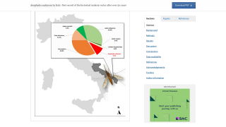 Italy Malaria 2024