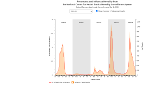 flu death trend