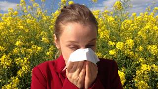 allergy sufferer