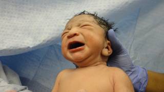 new born baby in doctors hands