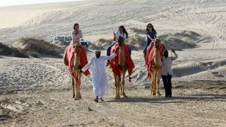 MERS from camels