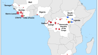 Ebola vaccines 2023