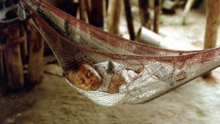 baby napping in netting protected from mosquitoes