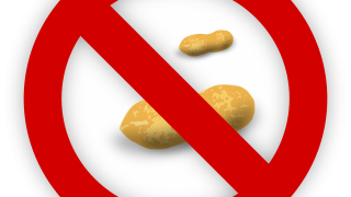 no nuts allowed