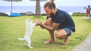 man playing with new puppy outside on grass
