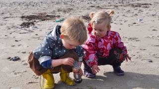 two young children on a danish beach looking for shells, 