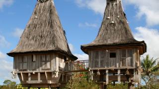 wooden huts in timor leste