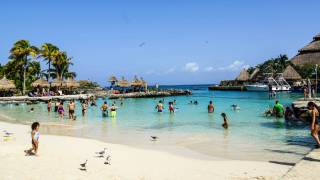 Zika Virus Caribbean Islands